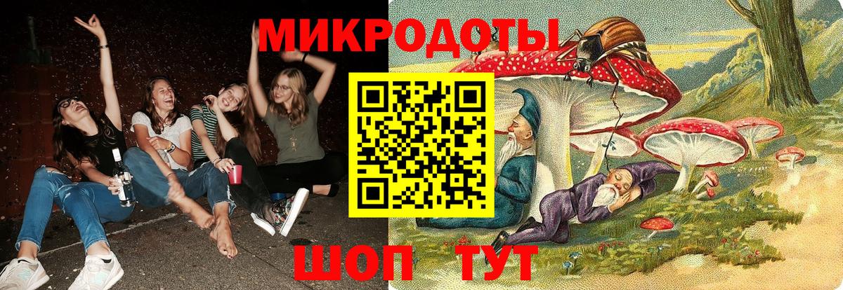 Галлюциногенные грибы прущие грибы  Галлюциногенные грибы прущие грибы  Вход с VPN  Отрадное 
